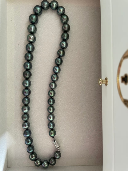 Ocean Mist Tahitian Pearl Necklace
