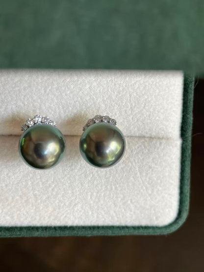 Midnight Crown Tahitian Pearl with Strong Green Tone Stud Earrings