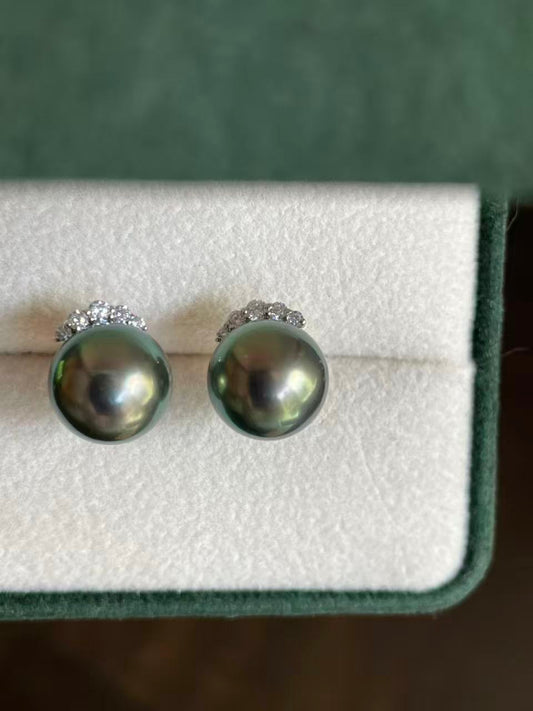 Midnight Crown Tahitian Pearl with Strong Green Tone Stud Earrings