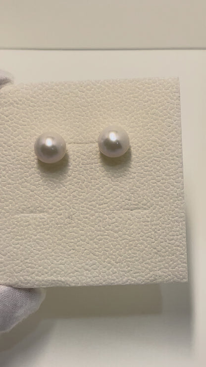 Great Luster Classic Cultured Freshwater Stud Earrings in 925 Silver